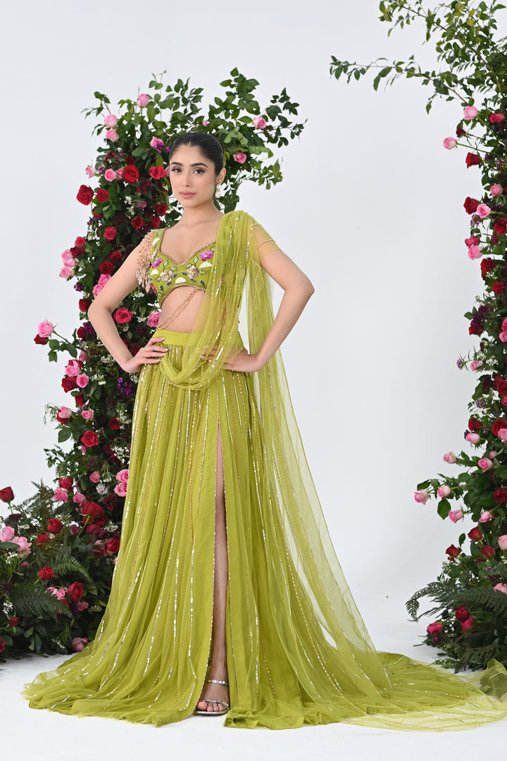 Alina Saree