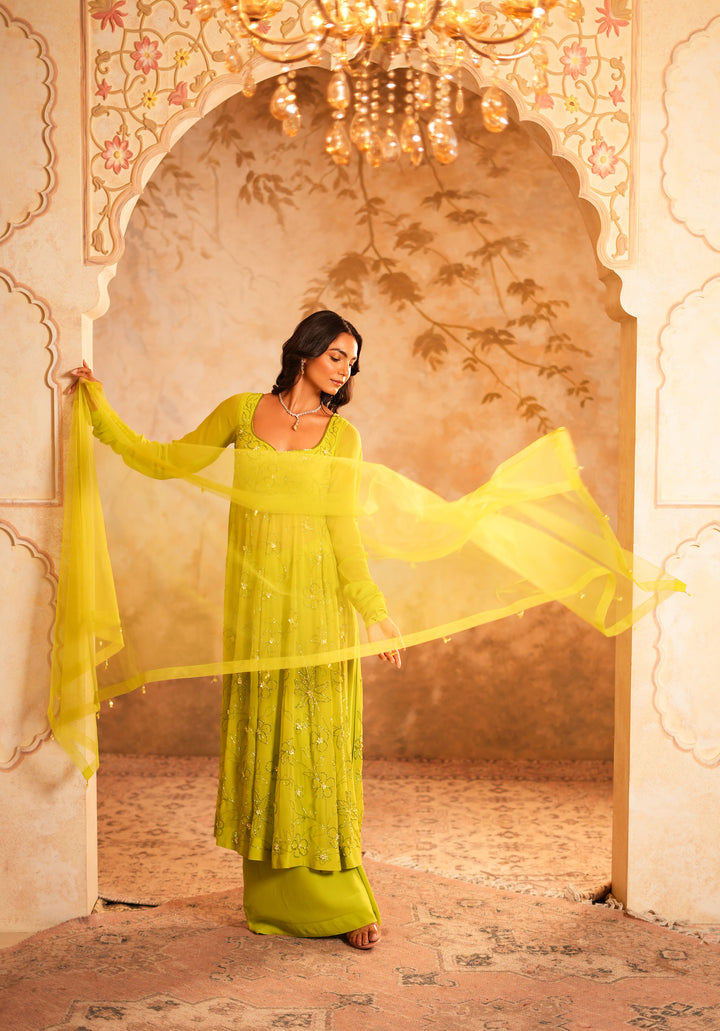 Arohi Anarkali