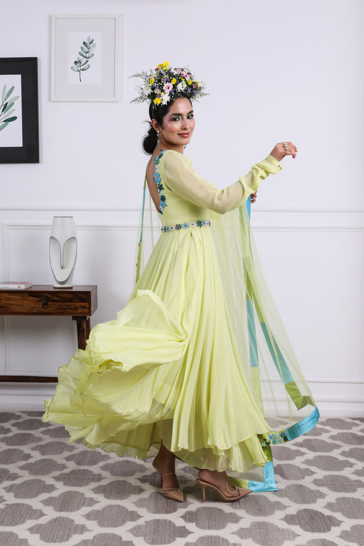 Nayra Anarkali