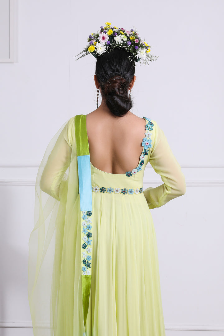Nayra Anarkali