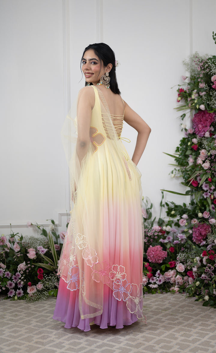 Sitara Anarkali
